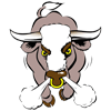 Aylesford Bulls Rugby Football Club