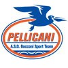 Associazione Sportiva Dilettantistica Bocconi Sport Team