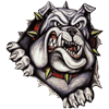 Bulldogs Rugby Football Club