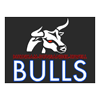 Burnham/Dunsandel/Irwell franchise - BDI Bulls