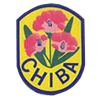 Chiba City Rugby School - 千葉市ラグビースクール