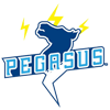 Chiba Pegasus Rugby Club (rugby féminin) - 千葉ペガサス