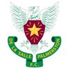 De La Salle Palmerston Football Club