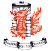 Dowlais Rugby Football Club