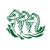 Eyemouth Rugby Football Club