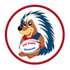 Associazione Sportiva Dilettantistica Rugby Istrici Terni