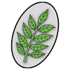 New Ash Green Rugby Football Club