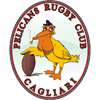 Old Pelicans Rugby Club
