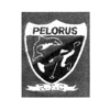 Pelorus Rugby Football Club