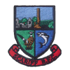 Scariff Rugby Football Club