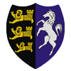 Thanet Wanderers Rugby Union Football Club