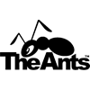 The Ants - Ｔｈｅ－Ａｎｔｓ