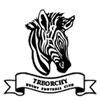 Treorchy Rugby Football Club - "The Zebras"