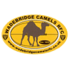 Wadebridge Camels Rugby Football Club