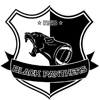 Black Panthers (Rennes School of Business - féminines)