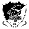 Black Pumas (Rennes School of Business)