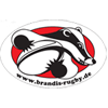 Sportverein Stahl Brandis