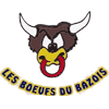 Club Sportif du Bazois Rugby