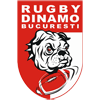Clubul Sportiv Dinamo Bucureşti 
