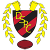 Delftse Studenten Rugby-Club