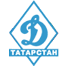OGO FSO Dynamo Respubliki Tatarstan - Общественно-государствення организация Физкультурно-спортивное обшество Динамо Республики Татарстан