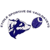 Etoile Sportive de Vaulnaveys