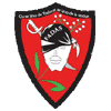 Les Fadas Supporters du RCT