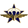 Les Gladiateurs du 1er RCP (Régiment de Chasseurs Parachutistes)