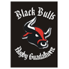 Club Deportivo Guadalhorce Black Bulls