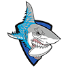 Ivanovo Regbi Klub "Belyye Akuly" (Requins Blancs) - И.Р.К.(Иваново Регби Клуб) "Белые Акулы"