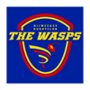 Nijmeegse Rugby Club The WASPS