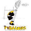 Amicale des Anciens Joueurs de Rugby de Saujon