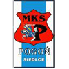 Miejski Klub Sportowy Pogoń Siedlce