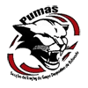 Secção de Rugby do Grupo Desportivo de Tabuado - Pumas de Marco de Canaveses