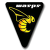 Wasps Rugby Football Club