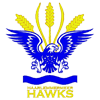 Haarlemmermeer Hawks Rugby Club