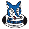 Les Renards Bleus