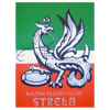 Regbijnyj Klub Strela (Flèche) - Регбийный клуб Стрела Казань