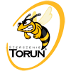 Klub Sportowy Szerszenie Toruń