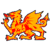 Turn- und Sportvereinigung Düsseldorf Dragons1895