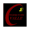 Regbija klubs Valle