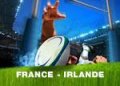 Tournoi des 6 nations 2012
