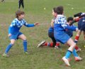 Lutins et Poussins à l'entraînement